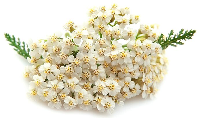 Gelarex vsebuje tisoč listov